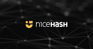 NiceHash logo